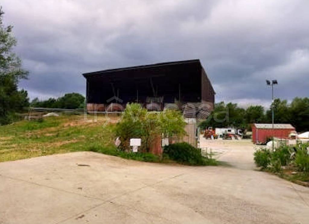 immagine annuncio 3 di 14