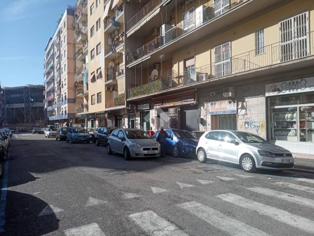 immagine annuncio 7 di 15