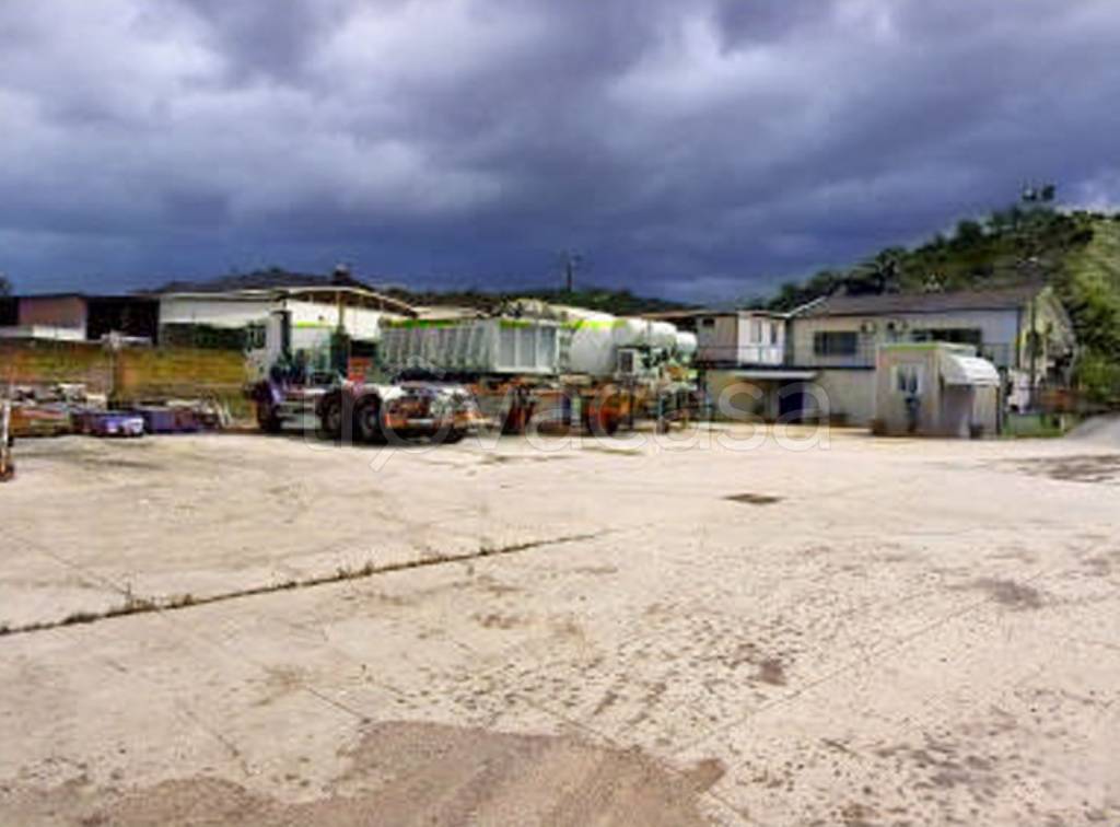 immagine annuncio 4 di 14