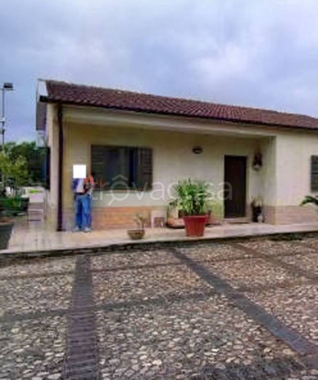 immagine annuncio 6 di 14