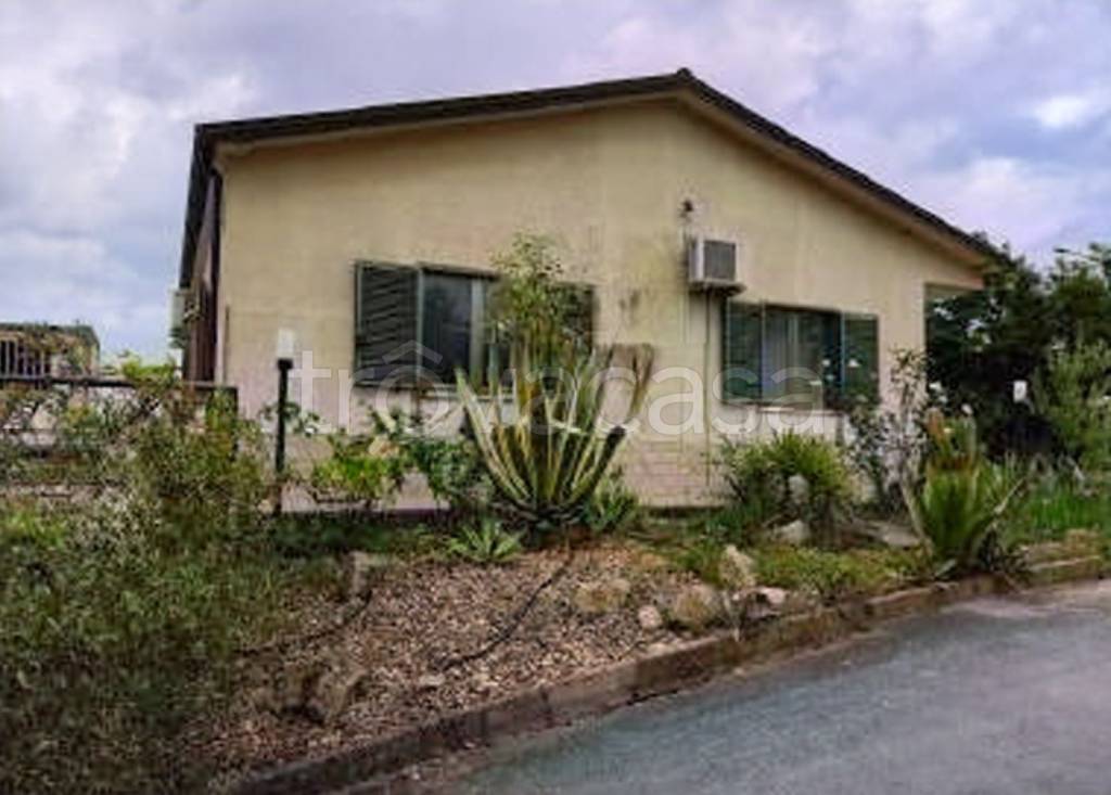 immagine annuncio 7 di 14