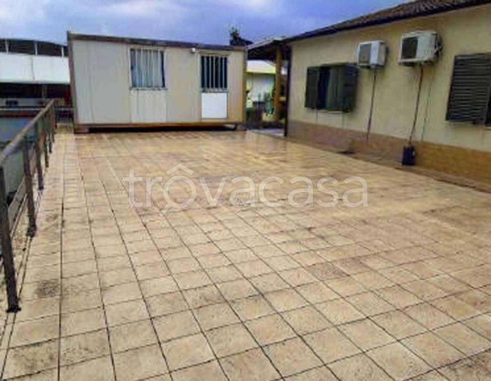 immagine annuncio 12 di 14