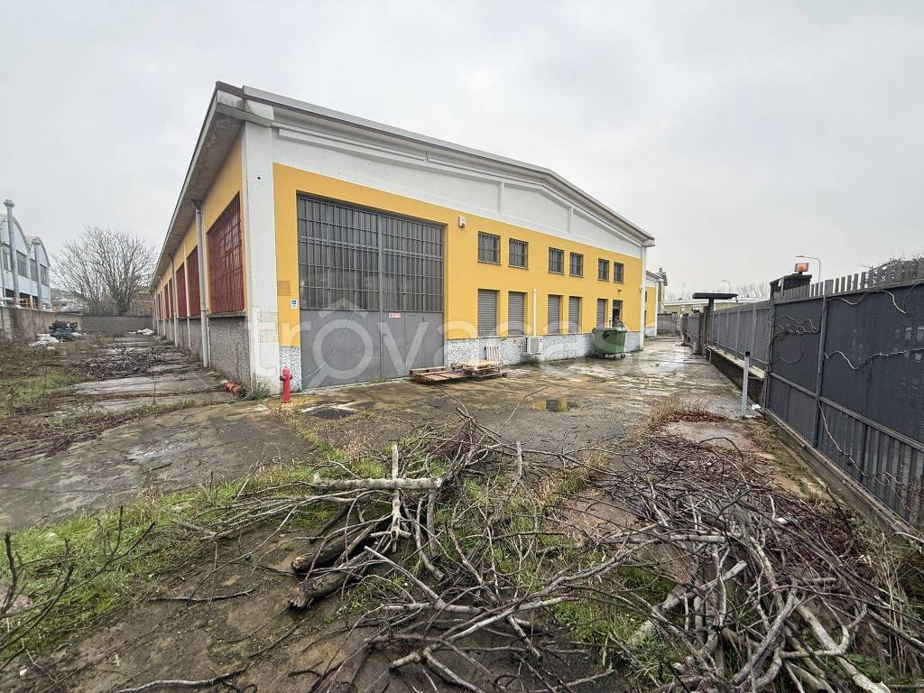 immagine annuncio 1 di 15