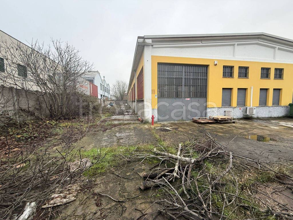 immagine annuncio 2 di 15