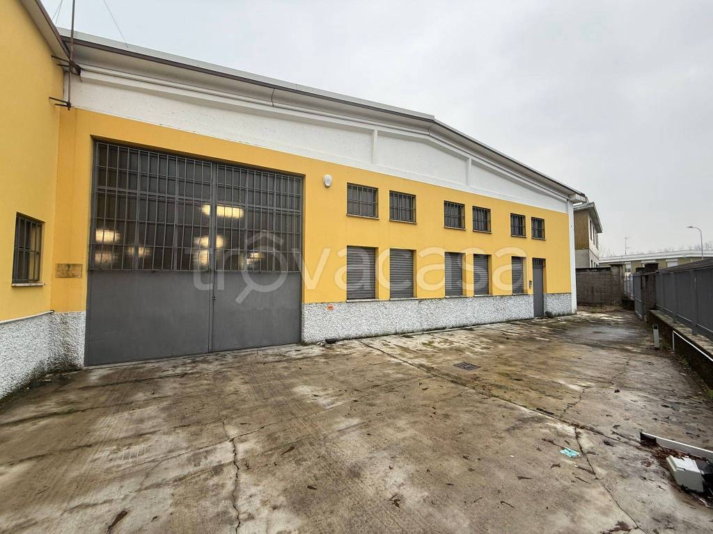 immagine annuncio 3 di 15