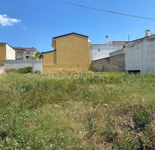 immagine annuncio 1 di 3