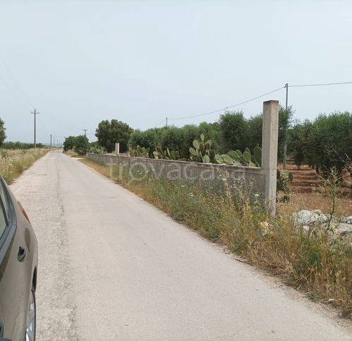 immagine annuncio 3 di 7