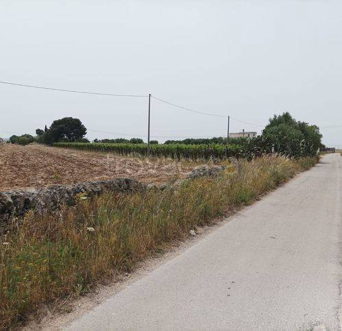 immagine annuncio 4 di 7