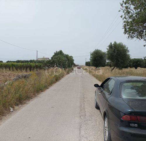 immagine annuncio 6 di 7