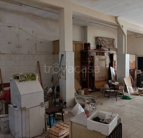 immagine annuncio 4 di 12