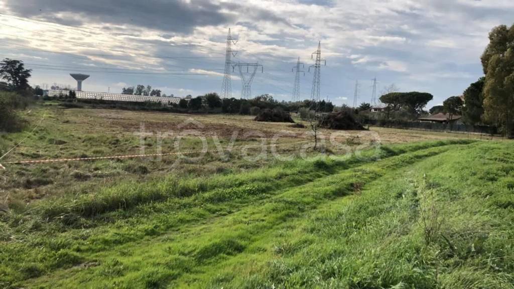 immagine annuncio 2 di 3