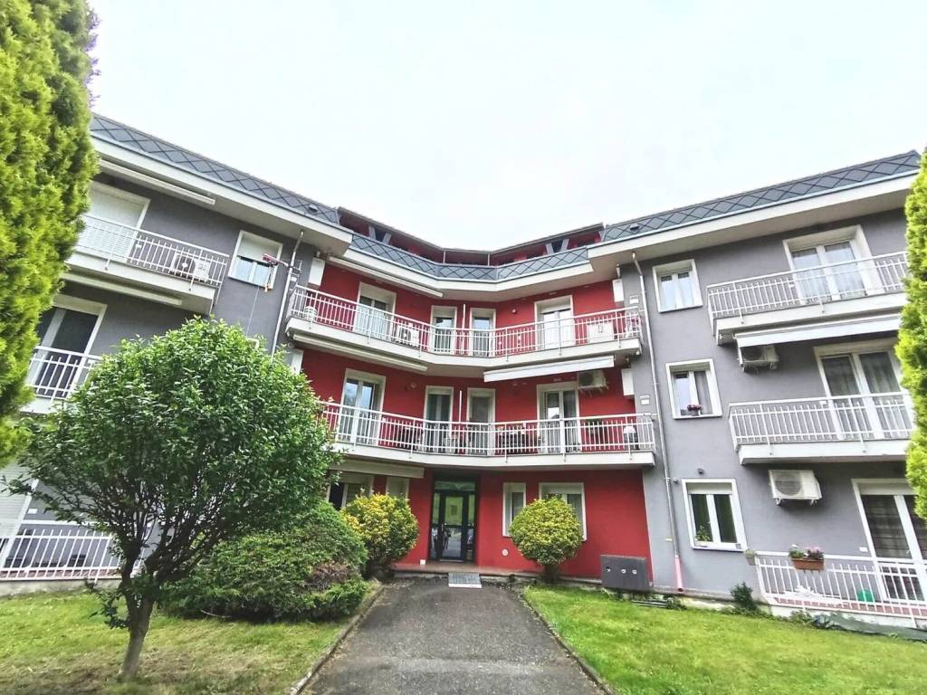 immagine annuncio 1 di 15