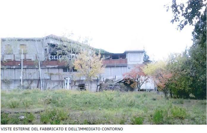 immagine annuncio 2 di 7