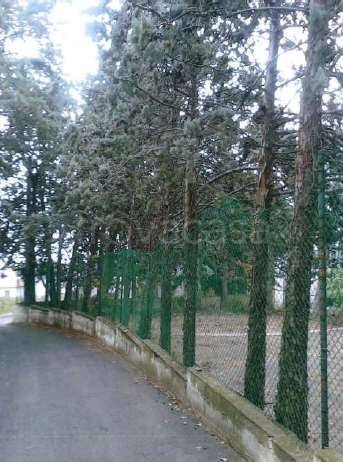 immagine annuncio 4 di 7