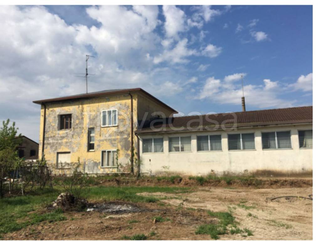 immagine annuncio 3 di 11