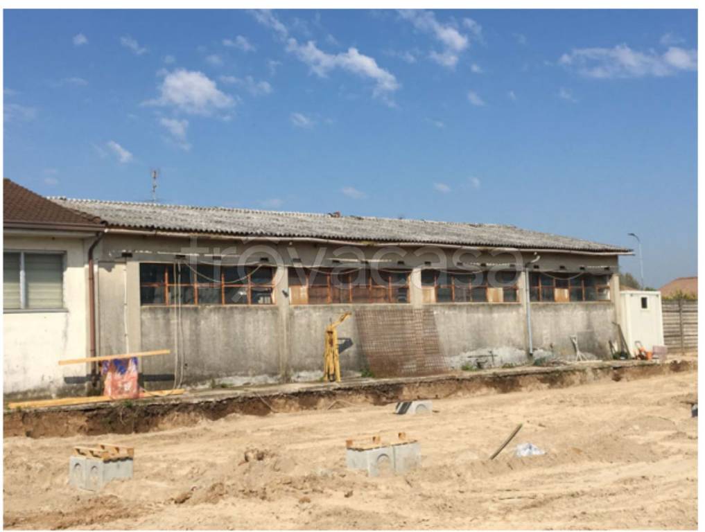 immagine annuncio 5 di 11