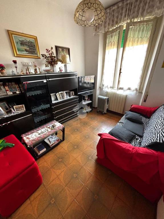 immagine annuncio 3 di 13