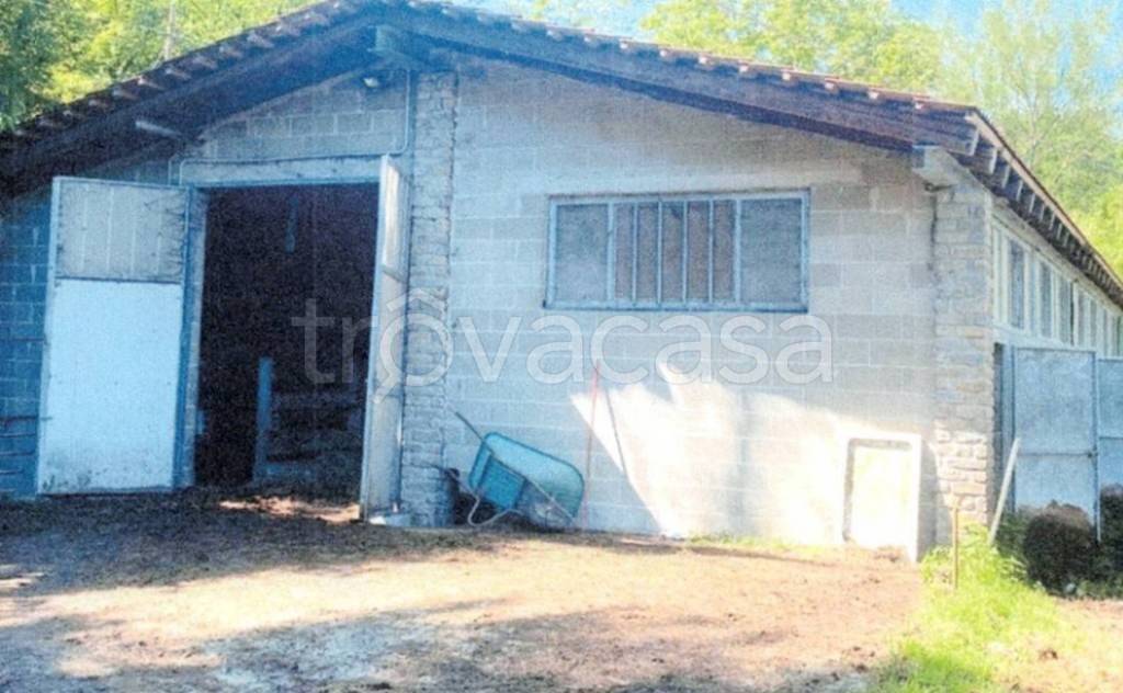 immagine annuncio 5 di 9