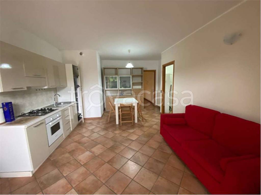 immagine annuncio 2 di 11