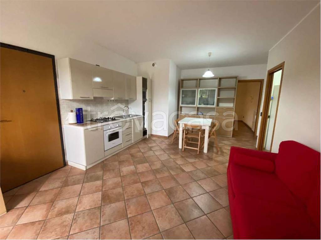 immagine annuncio 3 di 11