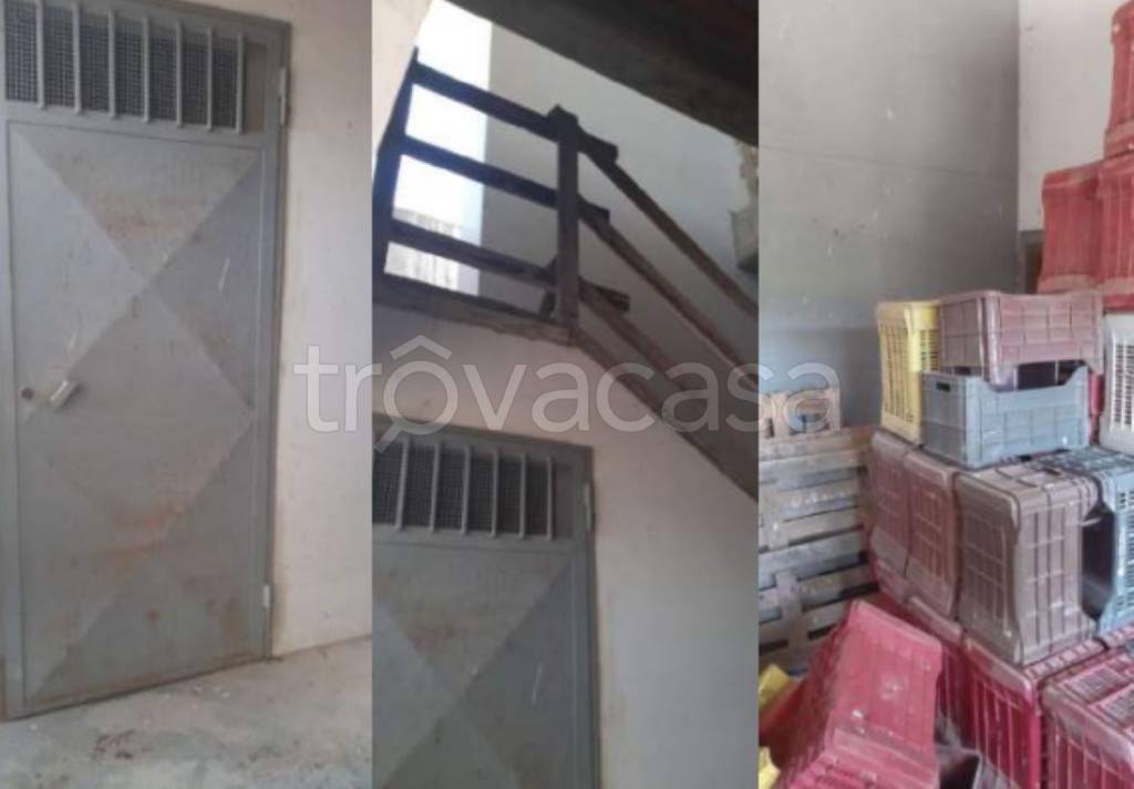 immagine annuncio 4 di 11