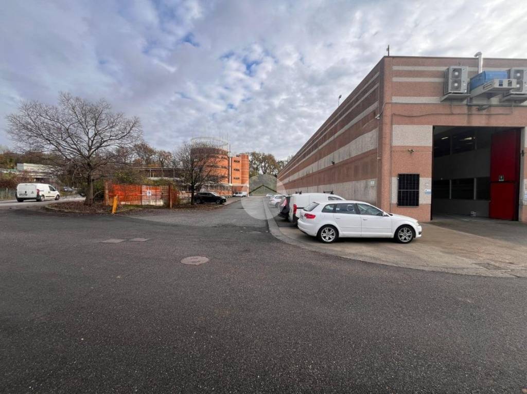 immagine annuncio 5 di 15