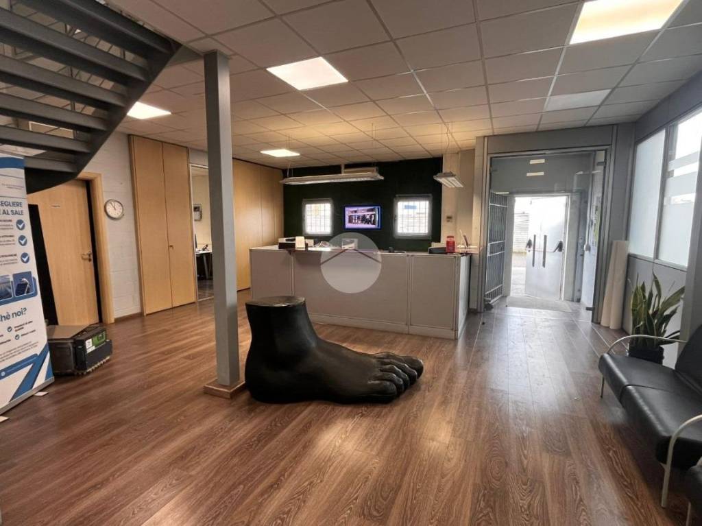 immagine annuncio 7 di 15