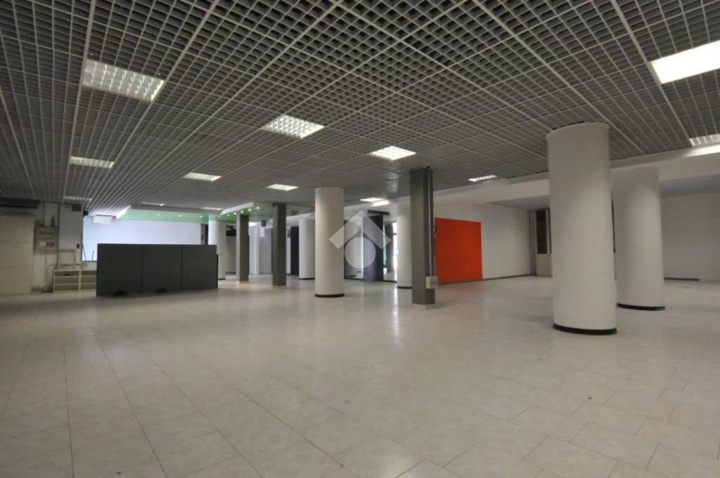 immagine annuncio 3 di 14