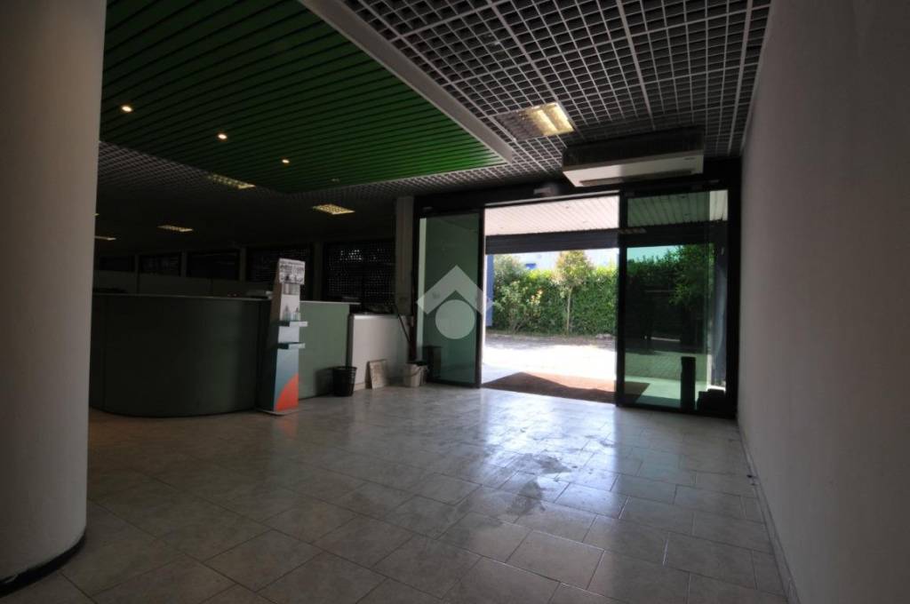 immagine annuncio 9 di 14