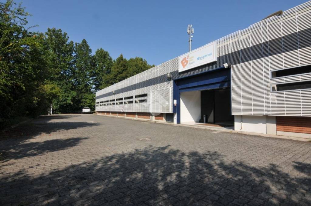 immagine annuncio 12 di 14