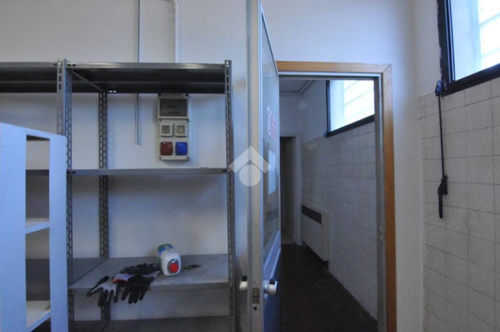 immagine annuncio 7 di 12