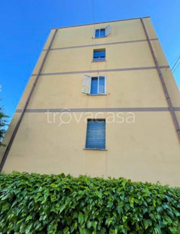 immagine annuncio 7 di 12