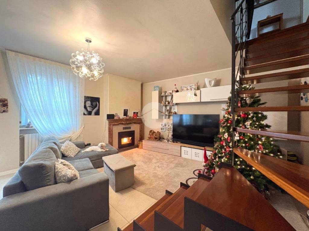 immagine annuncio 6 di 15