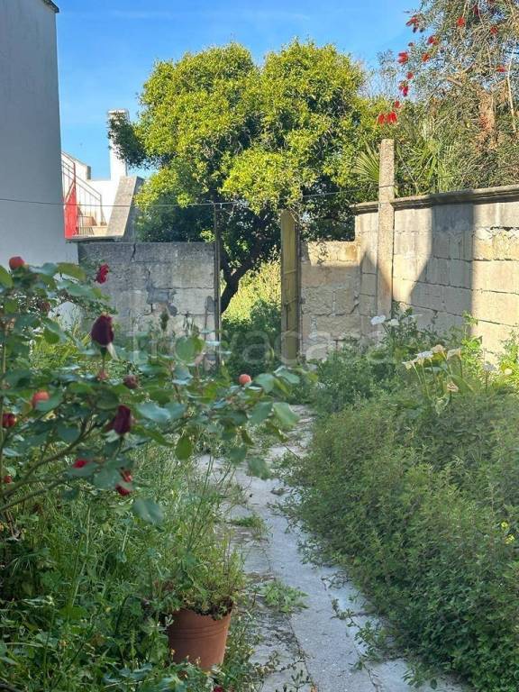 immagine annuncio 7 di 14