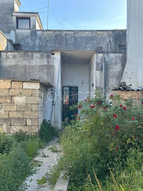 immagine annuncio 8 di 14