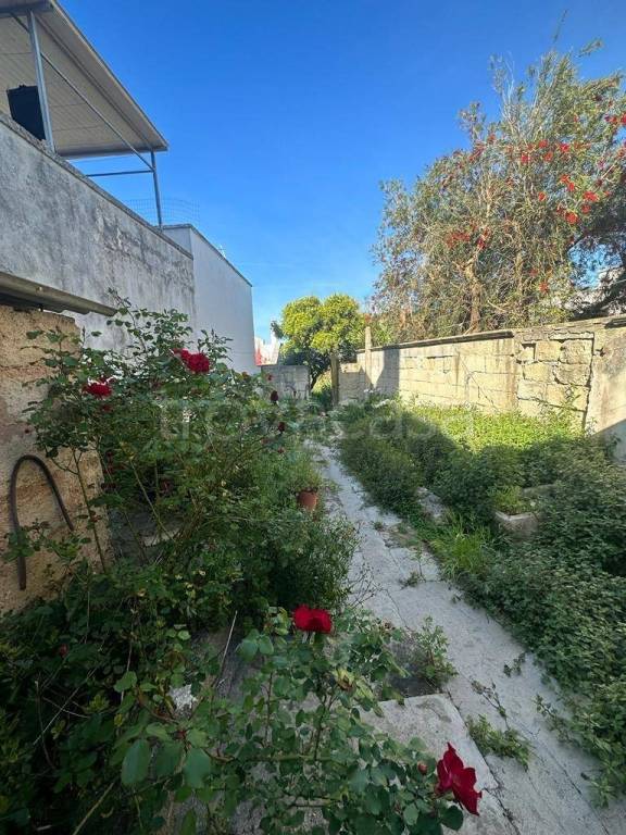 immagine annuncio 9 di 14