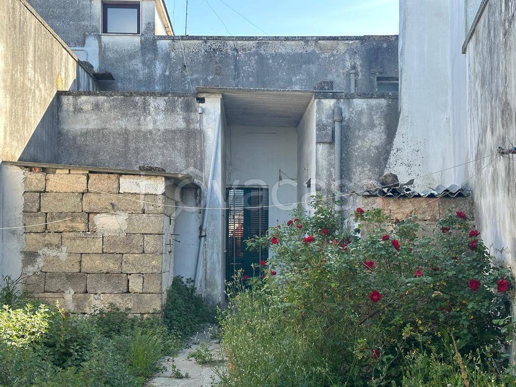 immagine annuncio 11 di 14