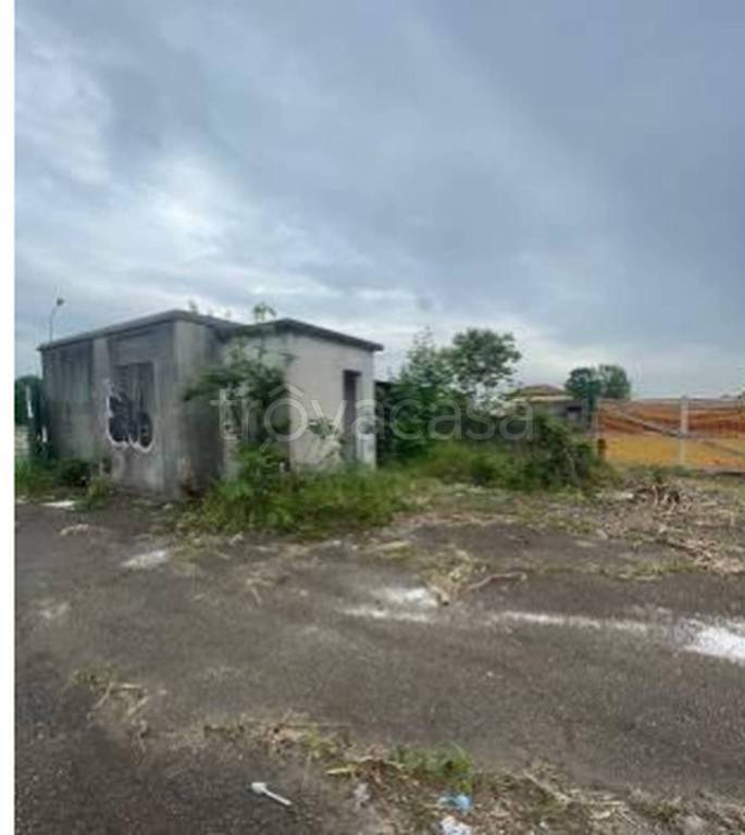 immagine annuncio 4 di 11