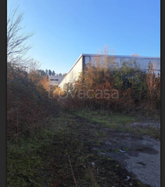 immagine annuncio 5 di 11