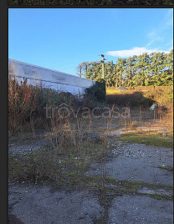 immagine annuncio 6 di 11