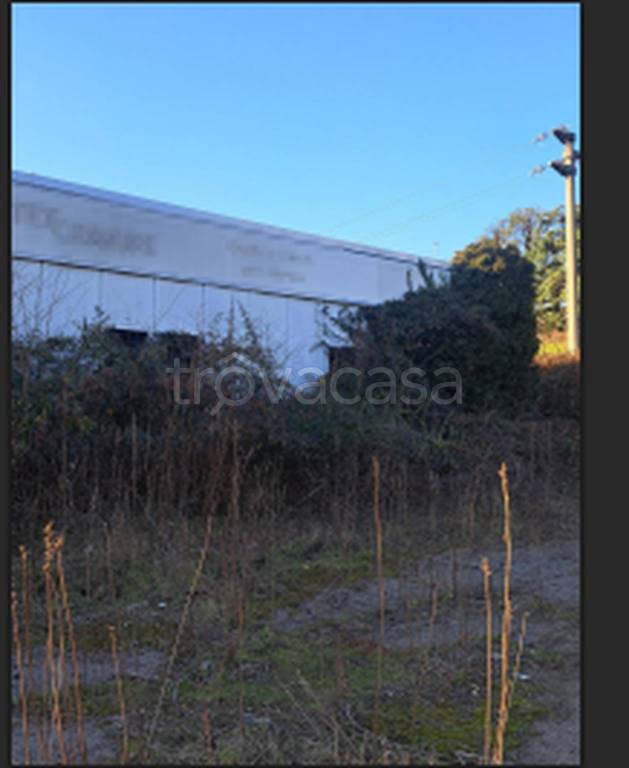 immagine annuncio 8 di 11