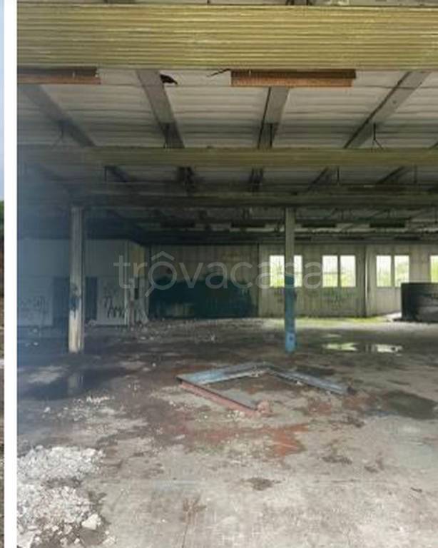 immagine annuncio 9 di 11