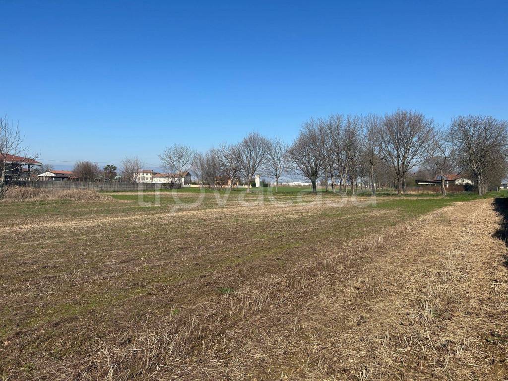 immagine annuncio 6 di 8