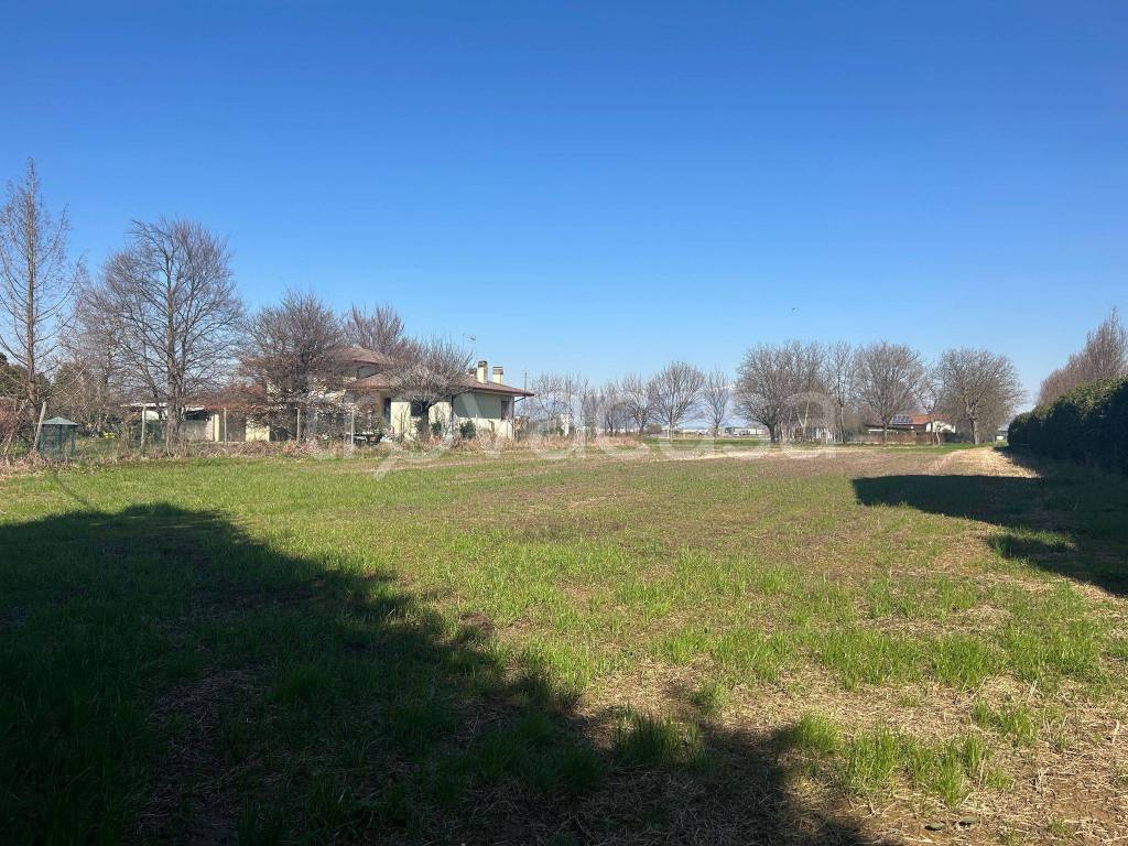 immagine annuncio 3 di 8