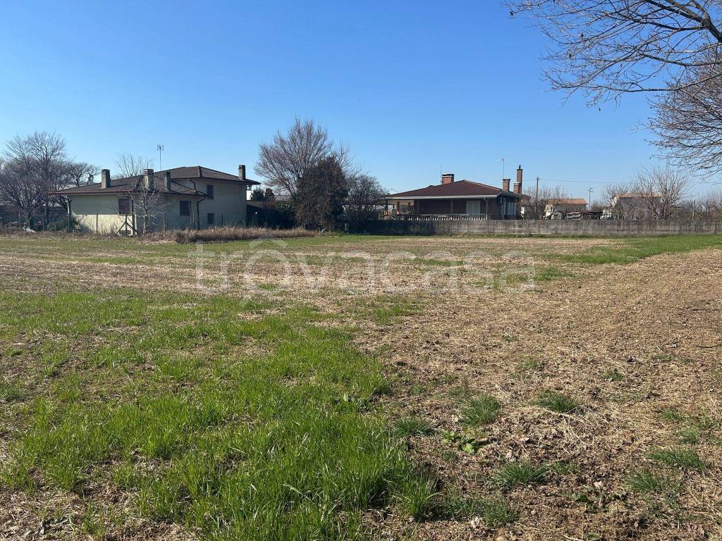 immagine annuncio 4 di 8