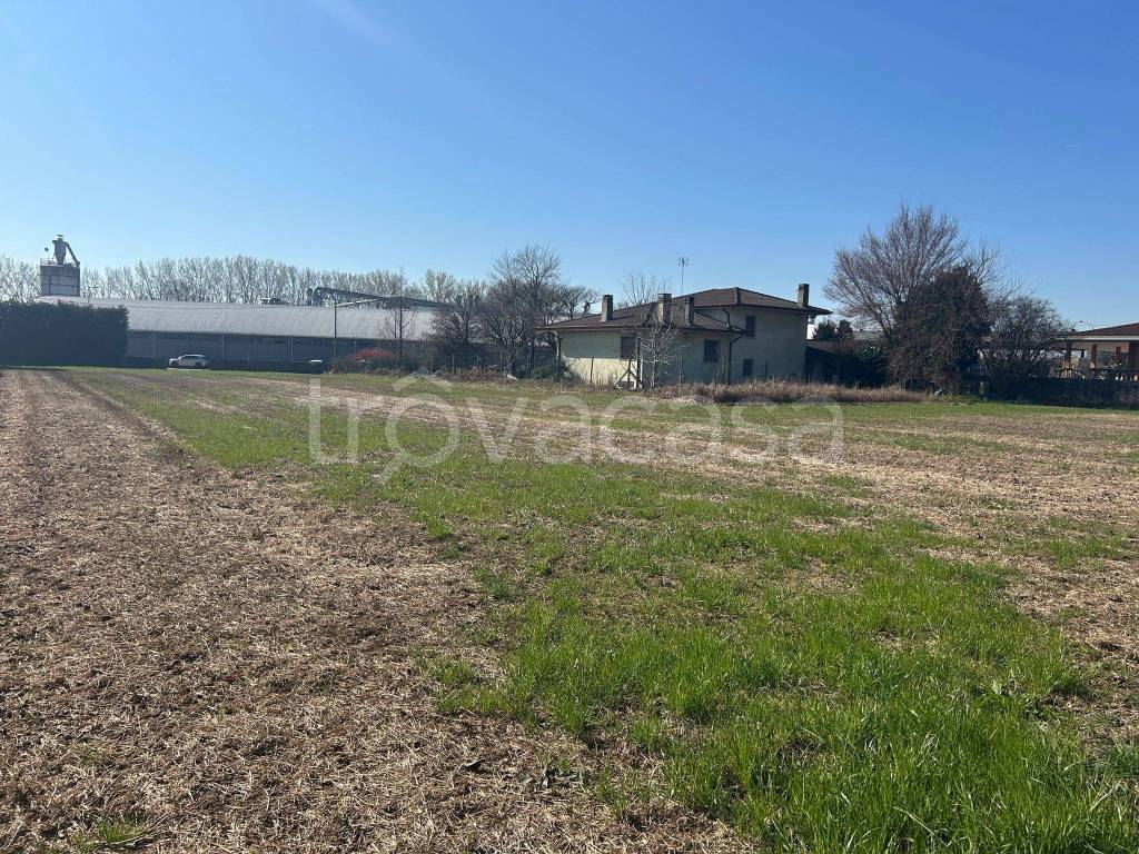 immagine annuncio 5 di 8