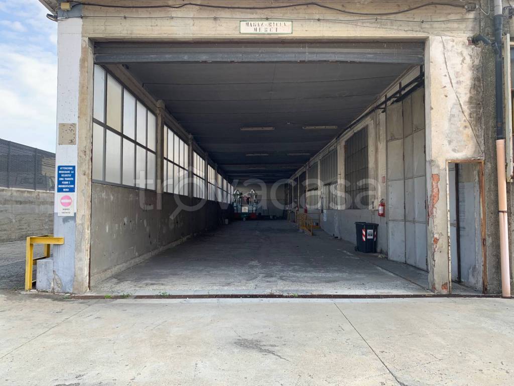 immagine annuncio 12 di 15