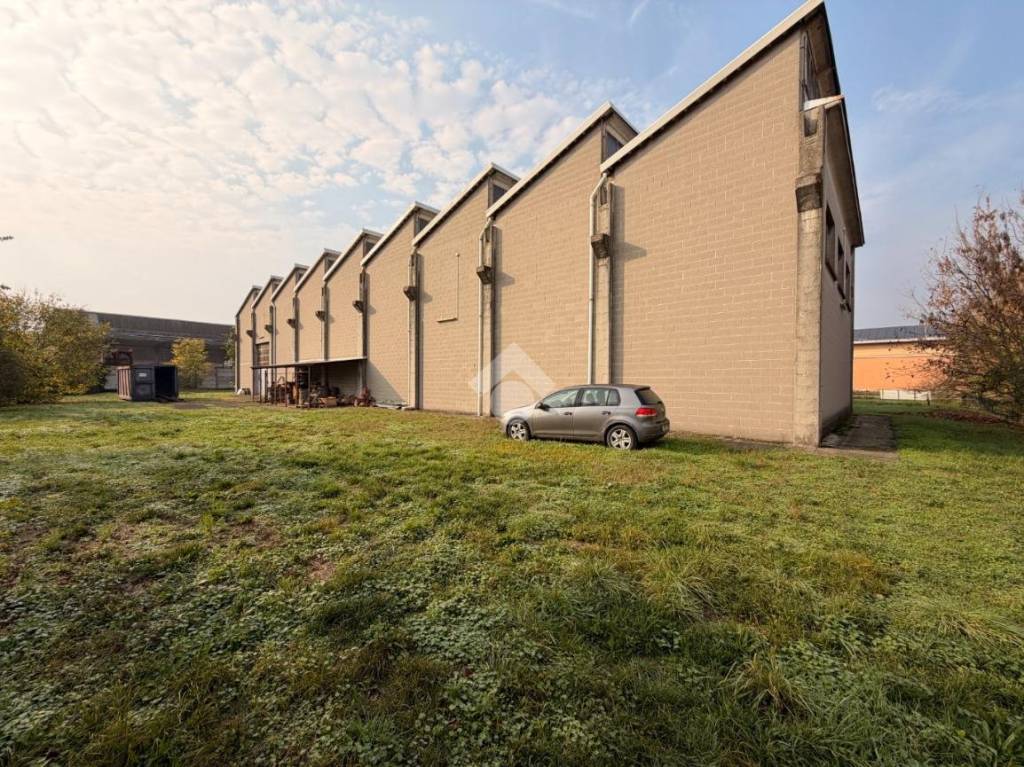 immagine annuncio 1 di 15