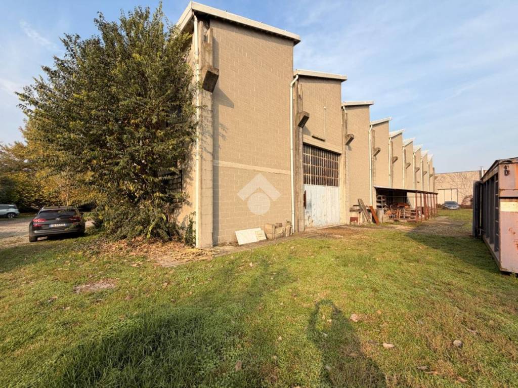 immagine annuncio 4 di 15