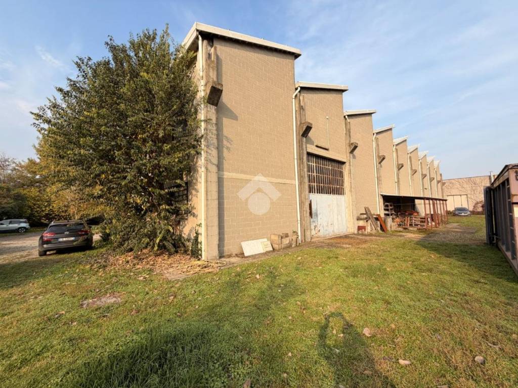 immagine annuncio 5 di 15